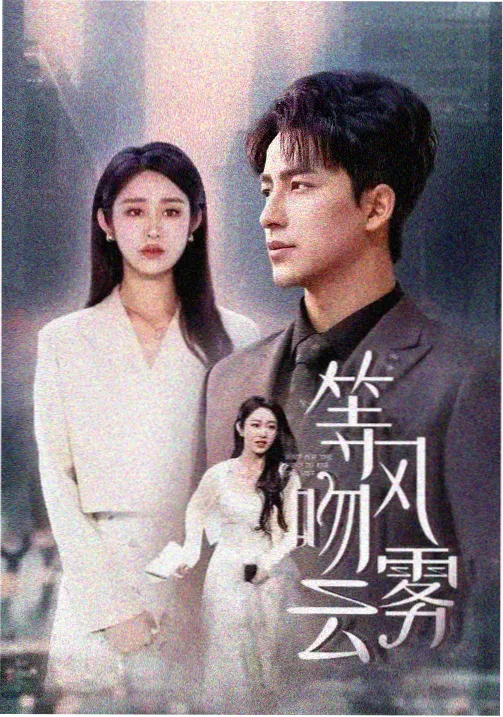 风暴眼职场剧集在线观看